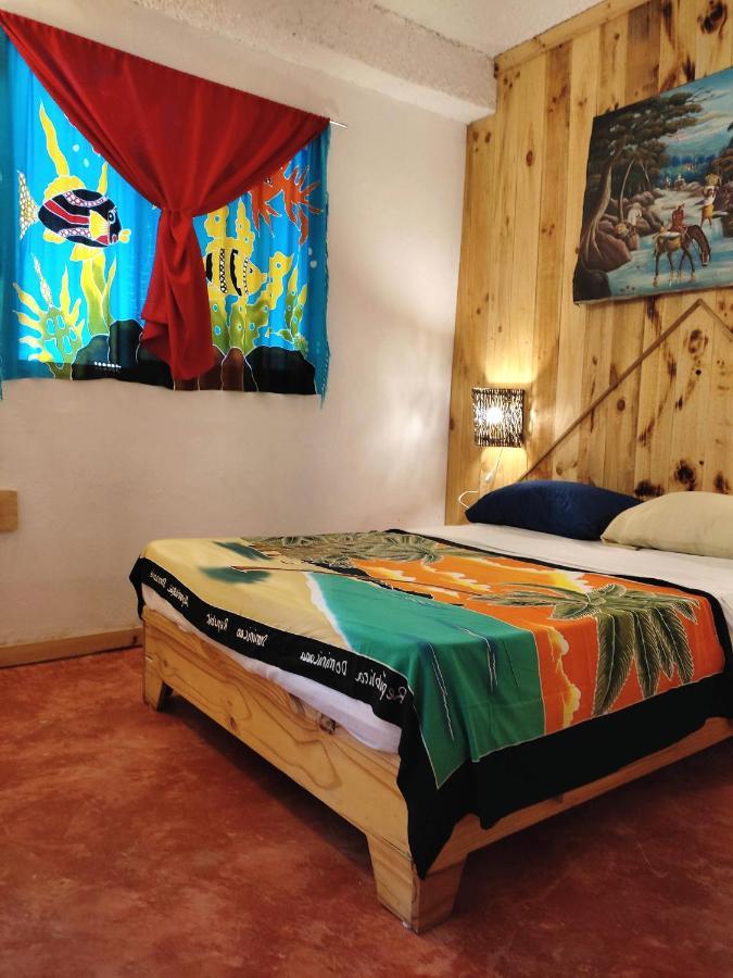 Hostel La Ballena Backpacker Las Galeras Exteriér fotografie
