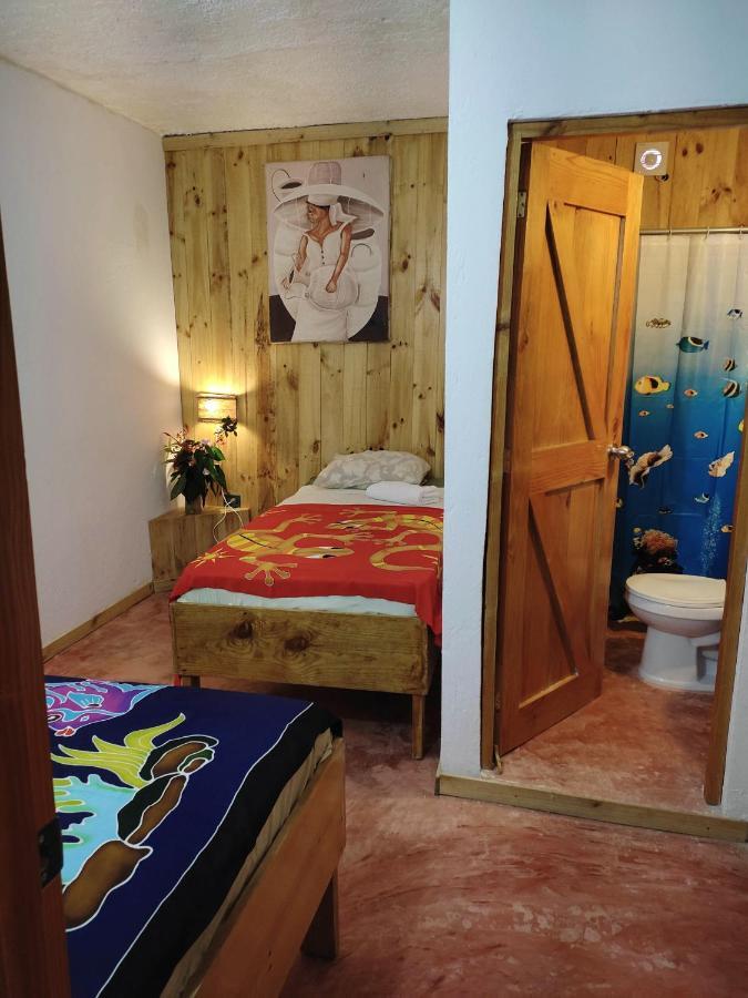 Hostel La Ballena Backpacker Las Galeras Exteriér fotografie
