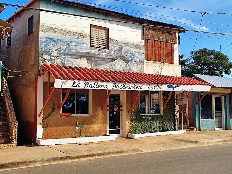 Hostel La Ballena Backpacker Las Galeras Exteriér fotografie