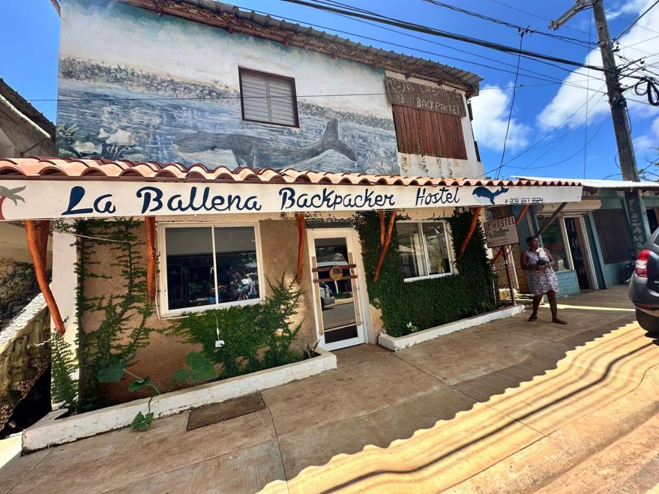 Hostel La Ballena Backpacker Las Galeras Exteriér fotografie