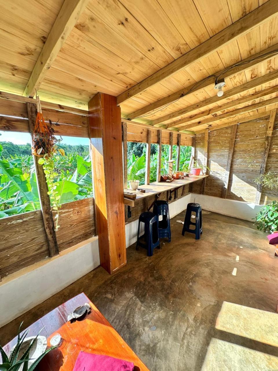 Hostel La Ballena Backpacker Las Galeras Exteriér fotografie