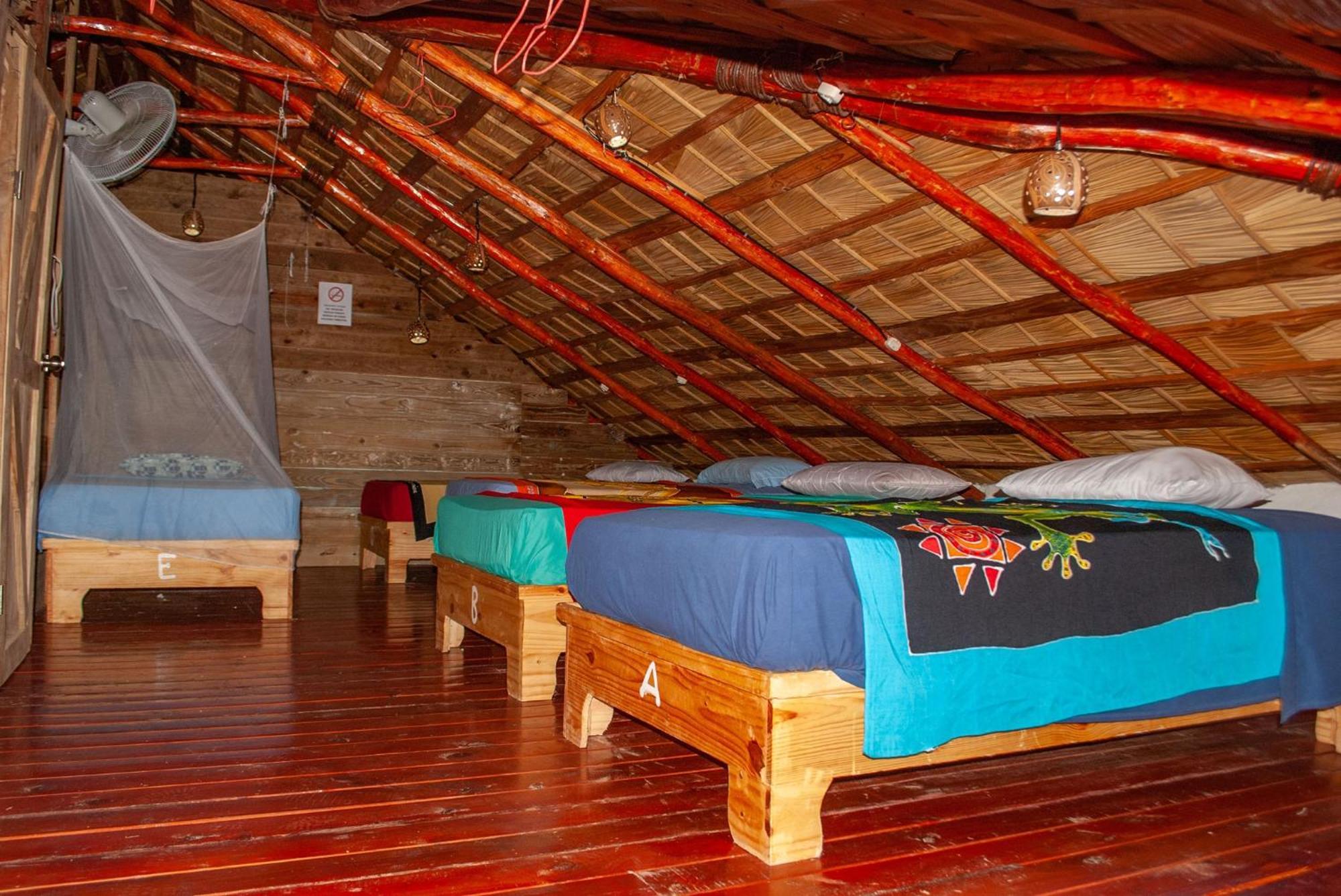 Hostel La Ballena Backpacker Las Galeras Exteriér fotografie