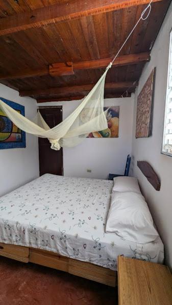 Hostel La Ballena Backpacker Las Galeras Exteriér fotografie