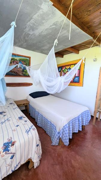 Hostel La Ballena Backpacker Las Galeras Exteriér fotografie