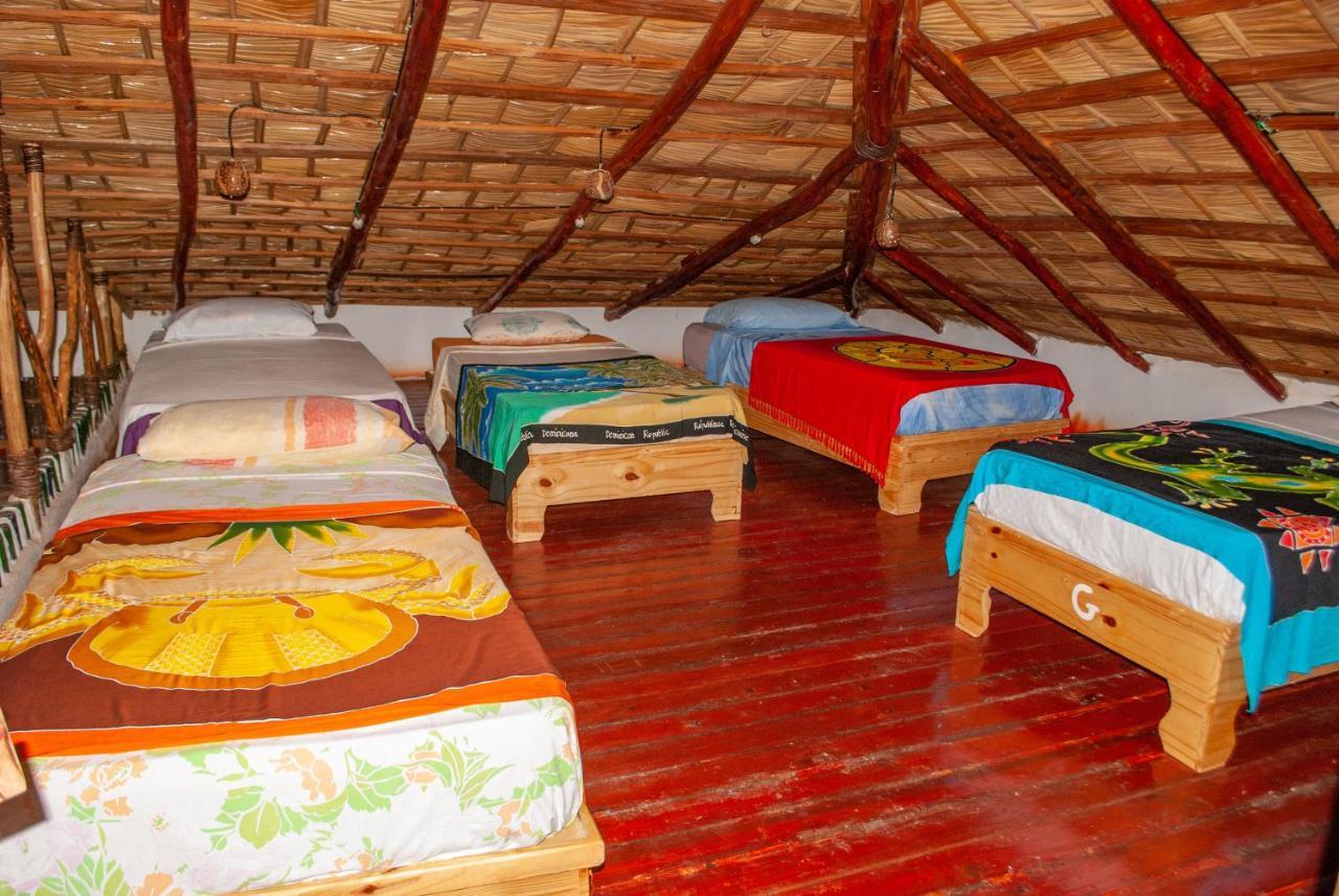 Hostel La Ballena Backpacker Las Galeras Exteriér fotografie