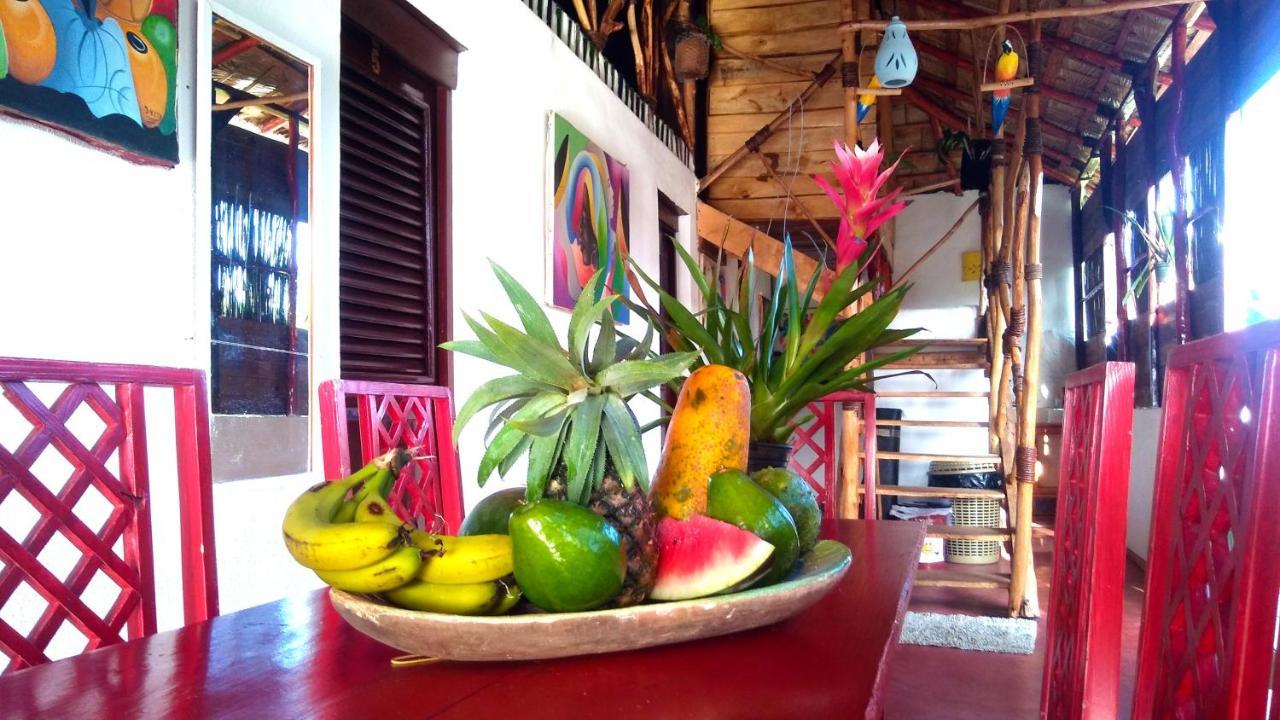 Hostel La Ballena Backpacker Las Galeras Exteriér fotografie